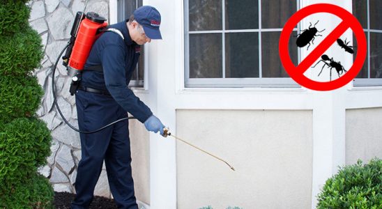 Muratpaşa Bit İlaçlama böcek ilaçlama ve haşere kontrolü — ilaclama-tr.com